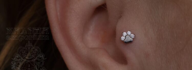 Cute paw print with clear cz’s