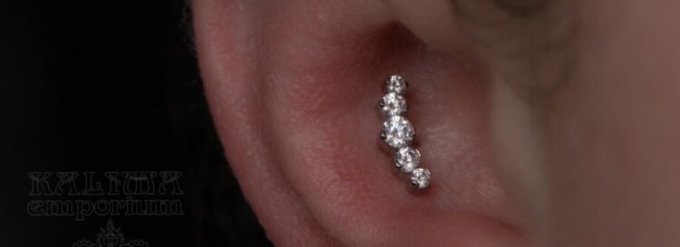 A fresh conch with cz